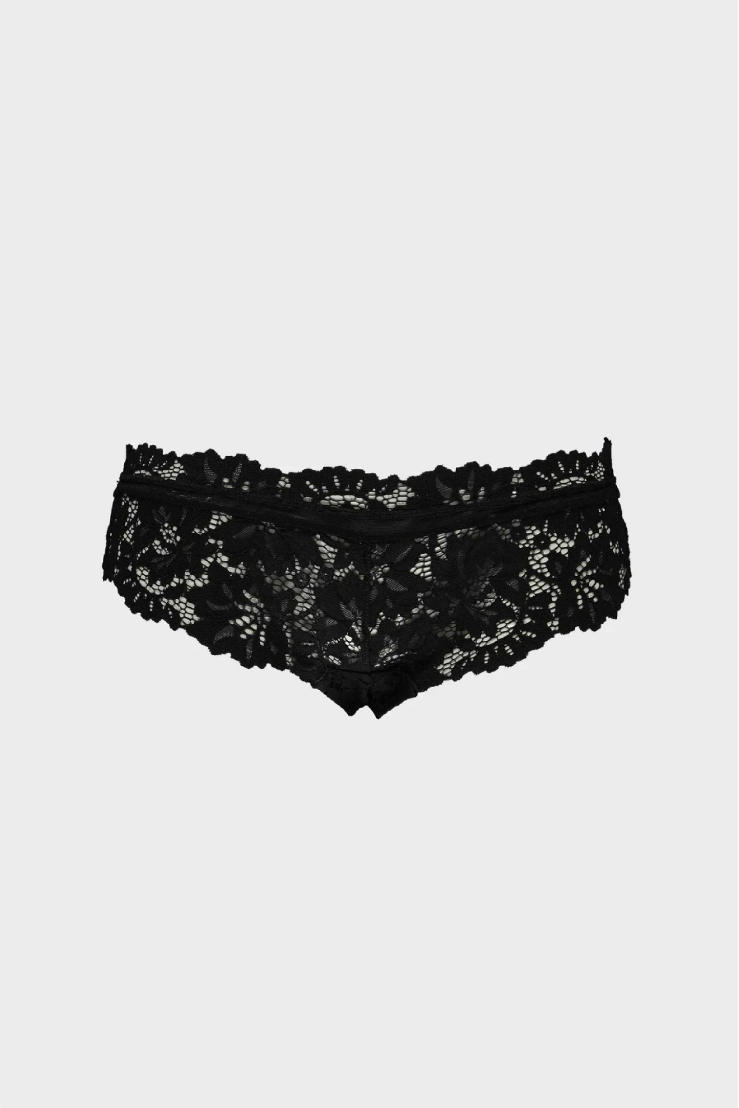 Vintage Lace Brief
